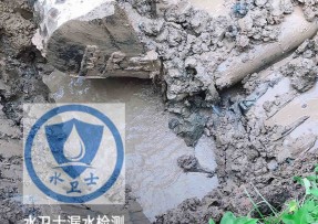 东西湖区水管漏水检测公司5